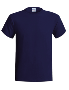 (*)REMERA ALGODÓN JERSEY AZUL TALLE S