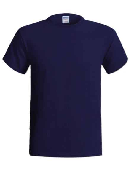 (*)REMERA ALGODÓN JERSEY AZUL TALLE S