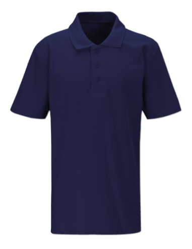 (*)CHOMBA PIQUE AZUL TALLE L