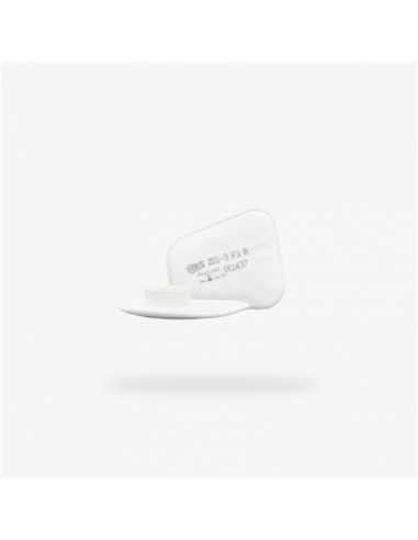 (*) KIT FILTRO LIBUS PARTICULAS 201-3 P3R 1051738